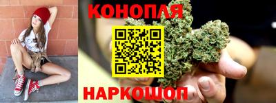 шишки Конаково